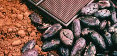 Tα παιδιά της πικρής σοκολάτας - Media