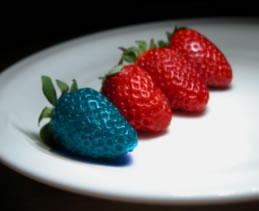 Έσπειραν ανέμους, θα θερίσουμε μεταλλαγμένα; - Media