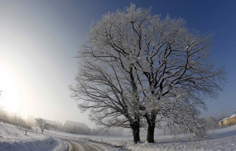 Παγώνει το θερμόμετρο τα επόμενα 24ωρα - Media