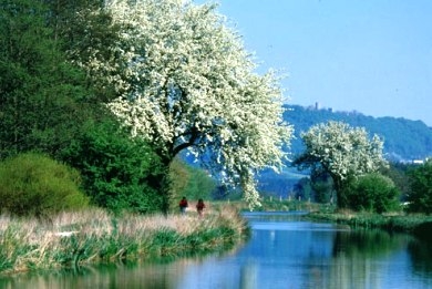 Η περιβαλλοντική πολιτική εν μέσω κρίσης - Media