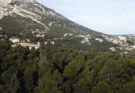 Επιβραβεύοντας την αυθαιρεσία - Media