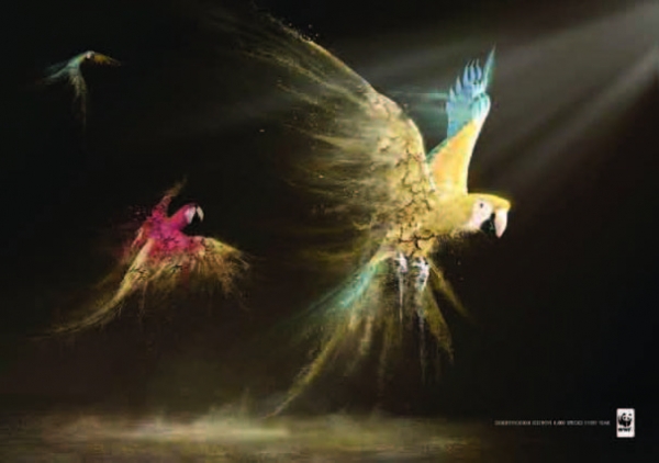 Η τέχνη της Ευαισθητοποίησης - Media