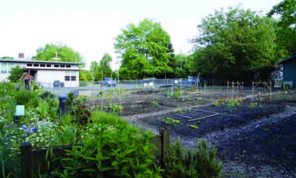 Ξηλώστε την άσφαλτο! - Media