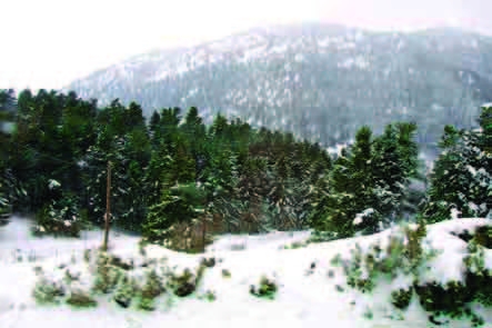 Τσιμέντο ο Παρνασσός!   - Media