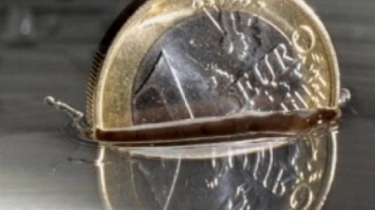 Πρόβλεψη ΔΝΤ: Στο 129% του ΑΕΠ το ελληνικό χρέος - Media