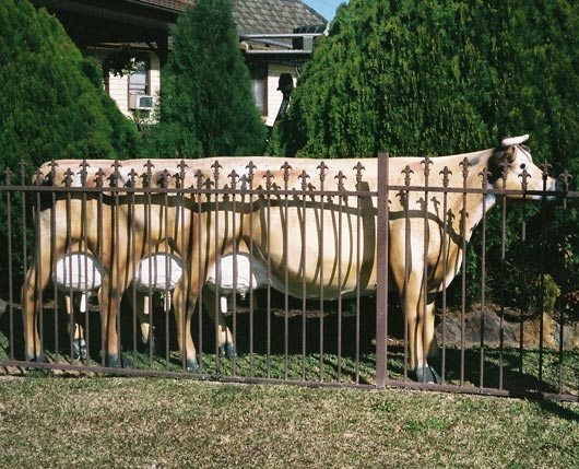 Γαλακτοβιομηχανίες ή ντεντέκτιβ; - Media