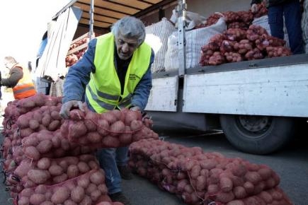 Πάνω από 55 τόνοι πατάτας σε τιμές παραγωγού θα διατεθούν στο ΑΠΘ - Media