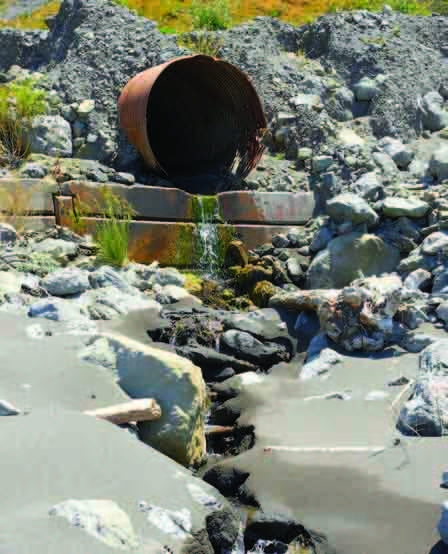 Οικο-Μνηµόνιο 2: ∆ασάρχης η Μέρκελ, πολεοδόµος ο Τόµσεν! - Media