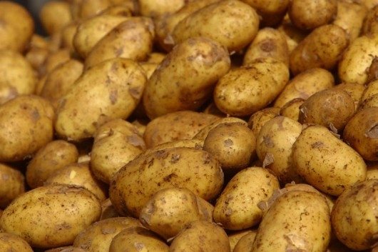 Νέες πρωτοβουλίες για το εμπόριο πατάτας από τους Δήμους Γαλατσίου- Ελληνικού - Media