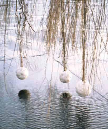 Η φύση ως έργο τέχνης - Media