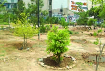 Καμίνης εναντίον πάρκου Κύπρου και Πατησίων  - Media