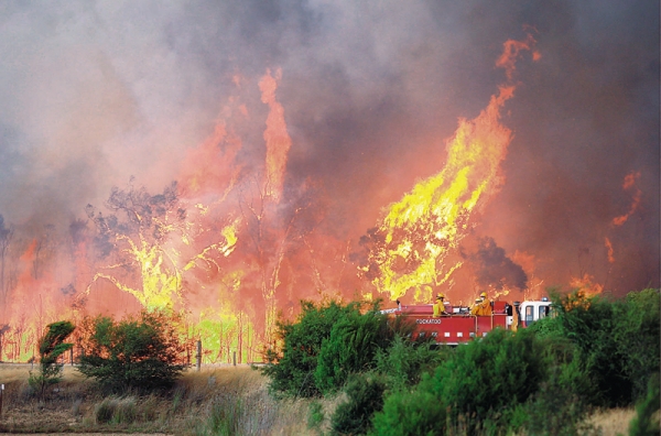 Στον εισαγγελέα οι συλληφθέντες για τις πυρκαγιές σε Κερατέα – Μαραθώνα - Media