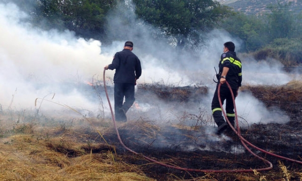 Υπό έλεγχο η φωτιά στη Σαλαμίνα - Media