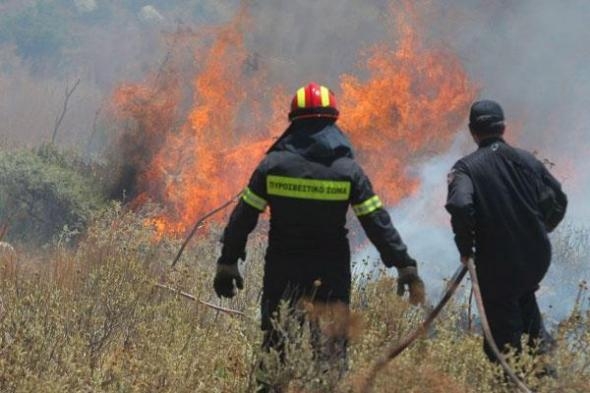 Σε εξέλιξη πύρινα μέτωπα σε Φλώρινα και Άργος   - Media