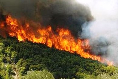Πύρινα μέτωπα σε Χίο και Κρήτη - Media
