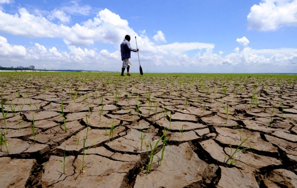 Θα πούμε το ψωμί ψωμάκι - Media