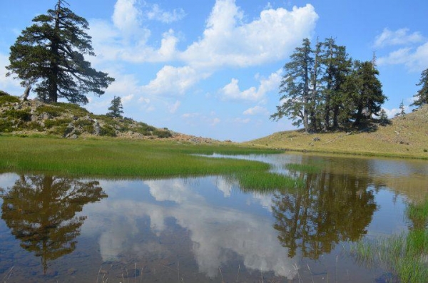 Ε, όχι και τη Βάλια Κάλντα - Media
