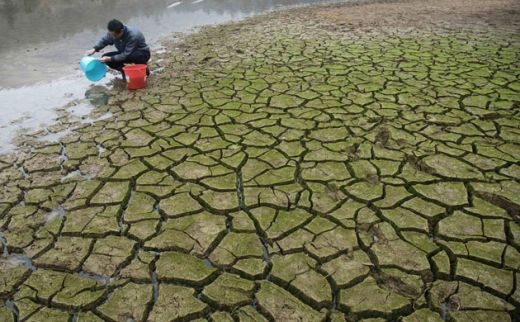 H ξηρασία εκτινάσσει τις τιμές των τροφίμων - Media