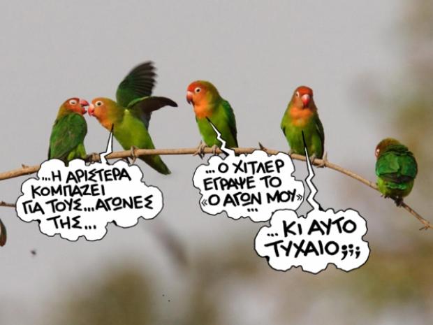 ΣΑΤΙΡΙΚΟΣ-πουλάκια - Media