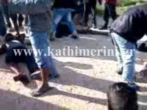 Βίντεο-σοκ από την επίθεση στη Μανωλάδα - Media