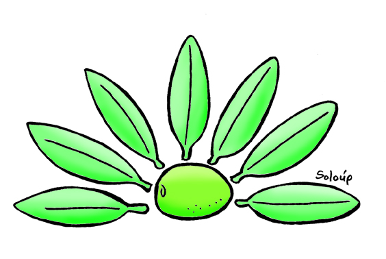 ΣΟΛΟΥΠ - ΕΛΙΑ - Media