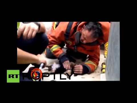 Ισπανός πυροσβέστης σώζει κουτάβι με τεχνητή αναπνοή (Video) - Media