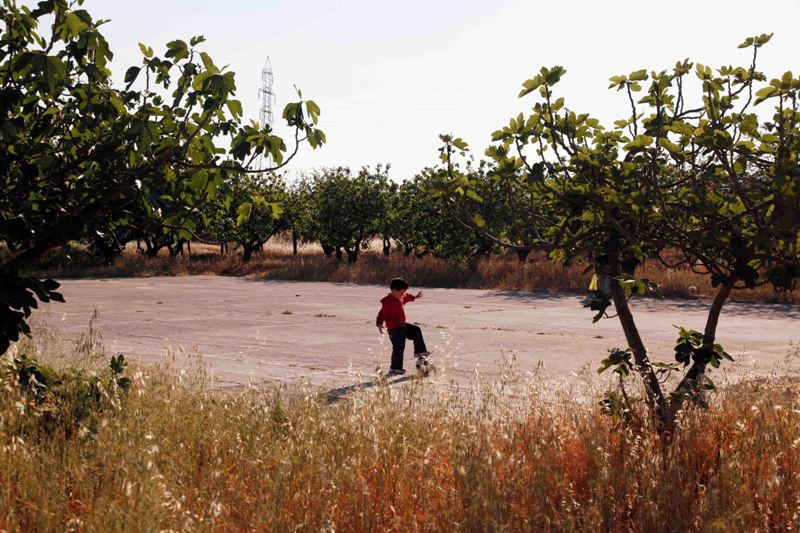 Εικόνες εγκατάλειψης στα πάρκα της Αττικής - Media