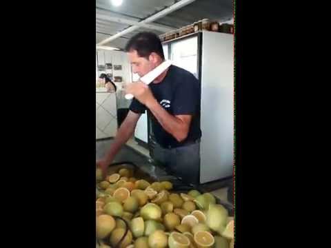 Μπορείς να μετρήσεις τα λεμόνια; (Video) - Media