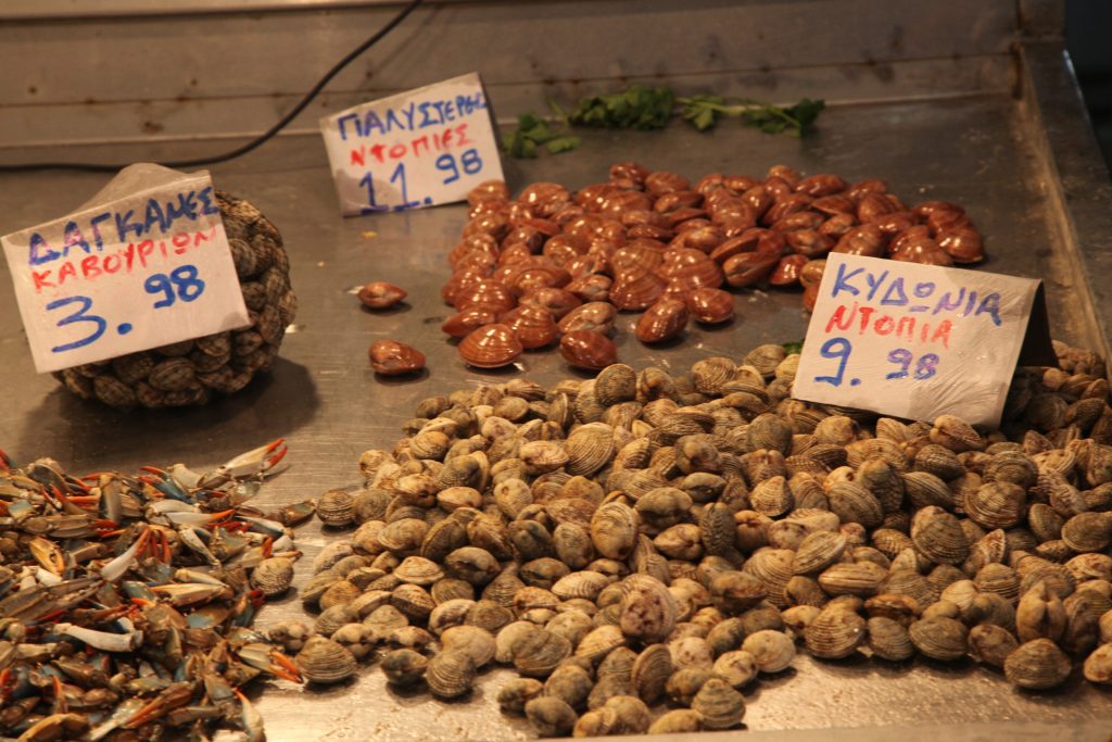 «Μπλόκο» σε 1,5 τόνο ακατάλληλα όστρακα - Media