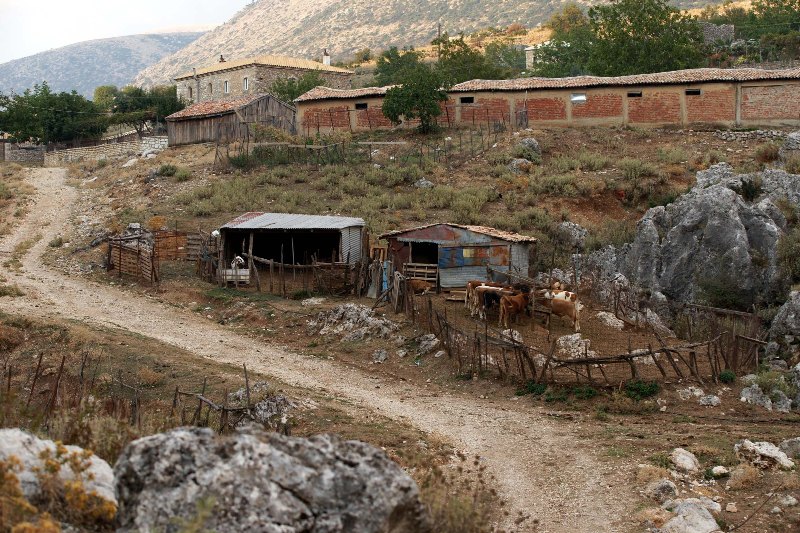 Χαλκίδα: Βίαζε ηλικιωμένες σε στάνες - Media