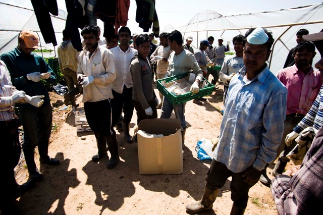 Πιθανή η χορήγηση άδειας διαμονής στα θύματα της Μανωλάδας - Media