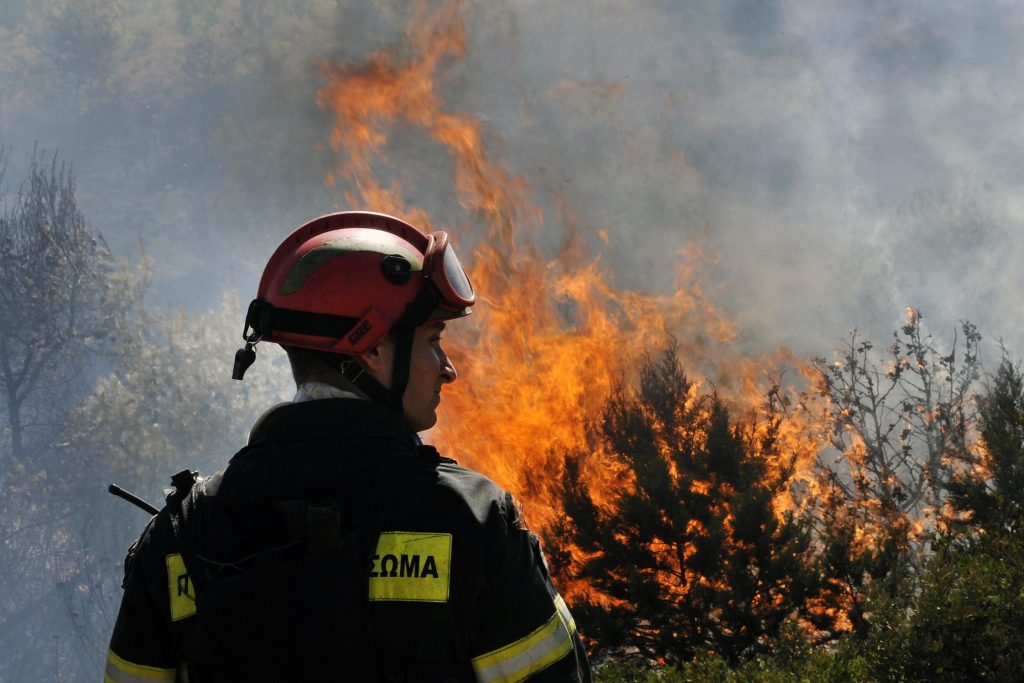 Πυρκαγιά σε δασική περιοχή στη Μυτιλήνη - Media