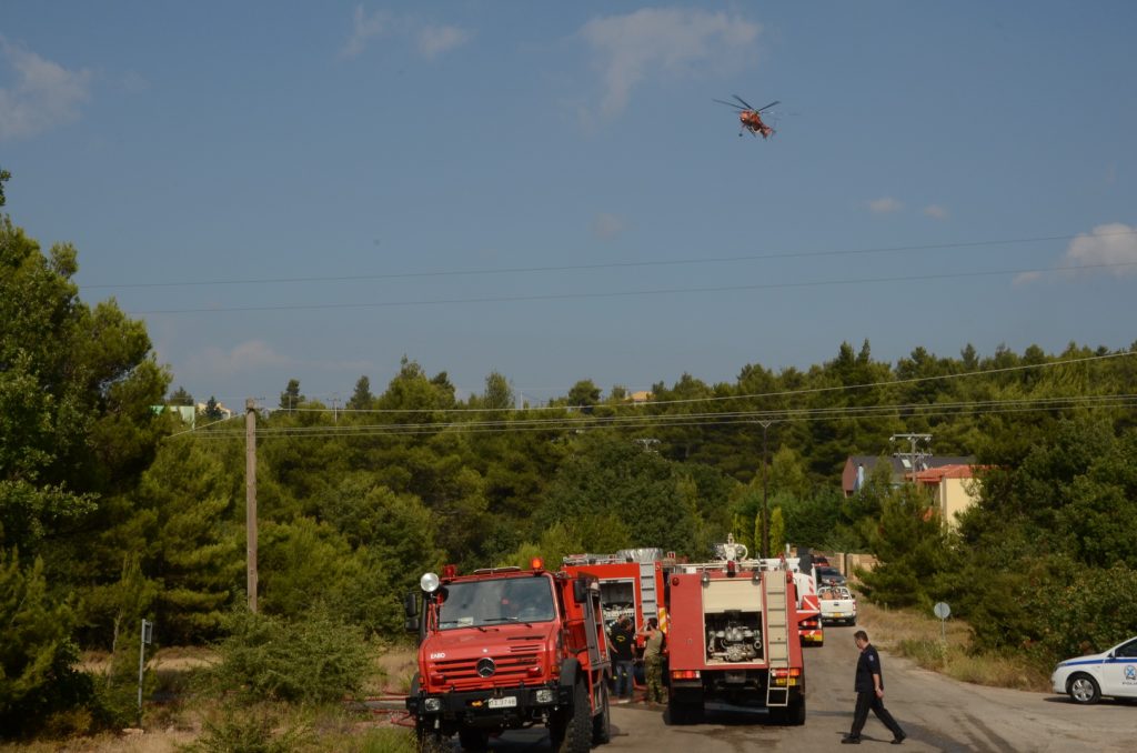Υπό έλεγχο η φωτιά στη Χαλκιδική - Media