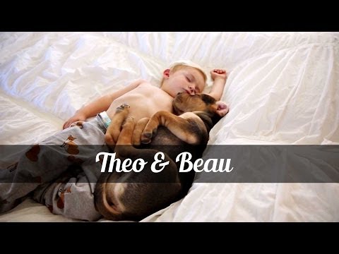 Η αληθινή ιστορία αγάπης και… ύπνου του Μπο και του Τεό!(Video) - Media