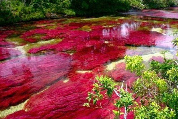 Ένα παραδεισένιο ποτάμι «ουράνιο τόξο» στην καρδιά της Κολομβίας - Media