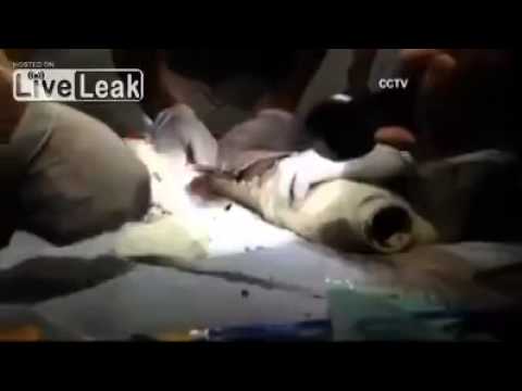 Έσωσαν νεογέννητο που πετάχτηκε σε σωλήνα αποχέτευσης (βίντεο) - Media