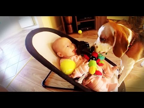 Σκύλος ζητάει συγγνώμη από μωρό! (Video) - Media