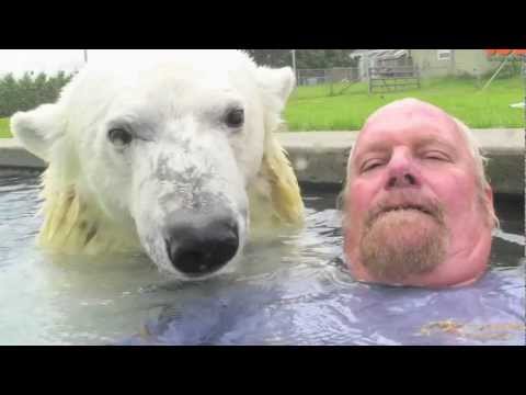 Ο μοναδικός άνθρωπος που κολυμπάει δίπλα σε πολική αρκούδα! (Video) - Media