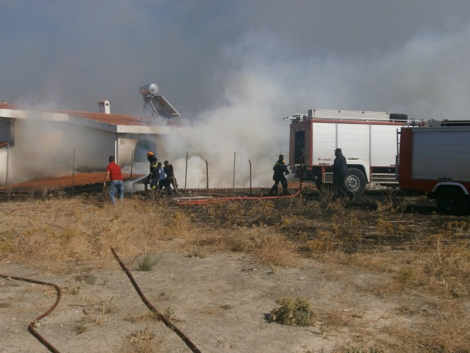 Τρεις νεκροί από πυρκαγιά στο Ωρωπό - Media