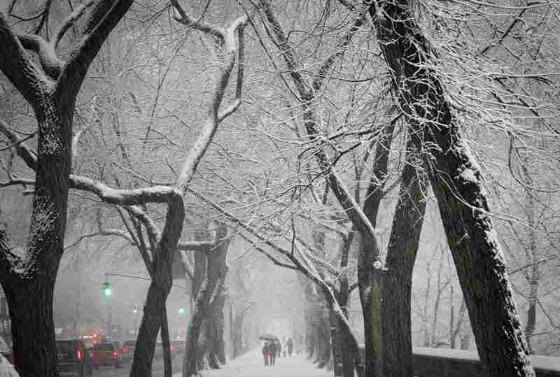 Χιονόπτωση – ρεκόρ στη Νέα Υόρκη
 - Media