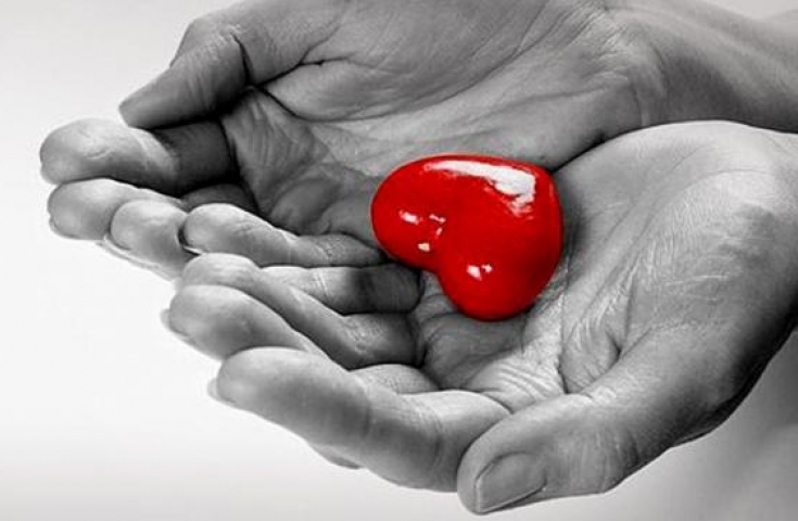 Έχασαν το 19χρονο παιδί τους αλλά έδωσαν ζωή σε πέντε ασθενείς με τα όργανά του - Media