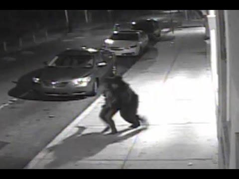 Καρέ  - καρέ η σοκαριστική αρπαγή 22χρονης στη Φιλαδέλφεια (Video) - Media