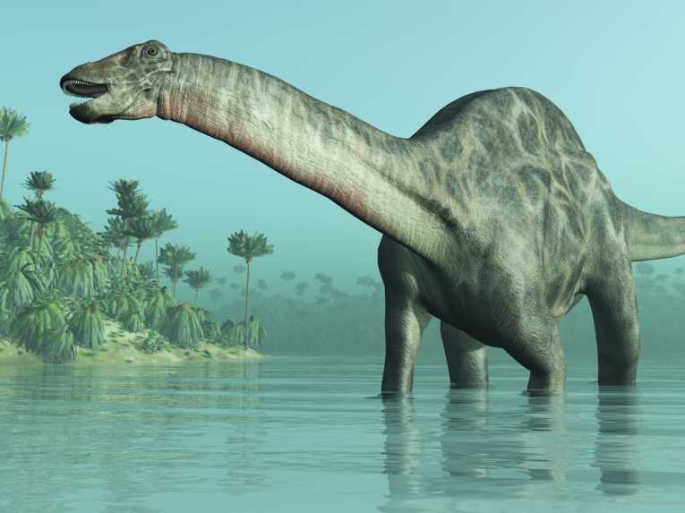 Ανακαλύφθηκε ο μεγαλύτερος δεινόσαυρος στον κόσμο - Media