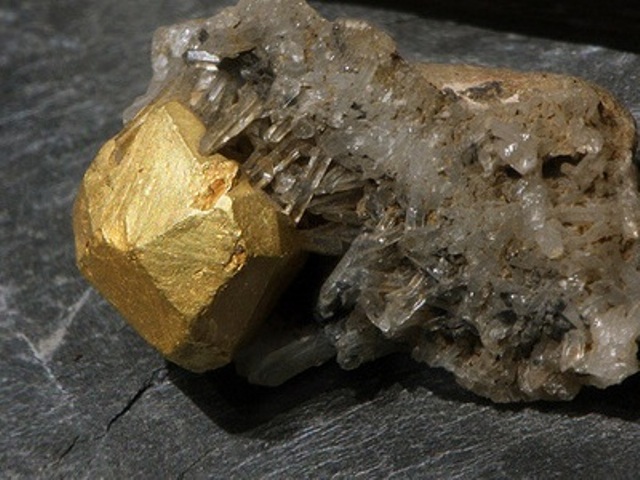 Όλοι ελεύθεροι για τα επεισόδια στις Σκουριές - Media