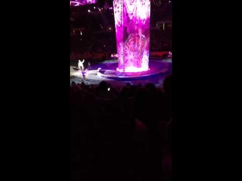 Ακροβάτες έπεσαν στο κενό κατά τη διάρκεια παράστασης σε τσίρκο! (Video) - Media