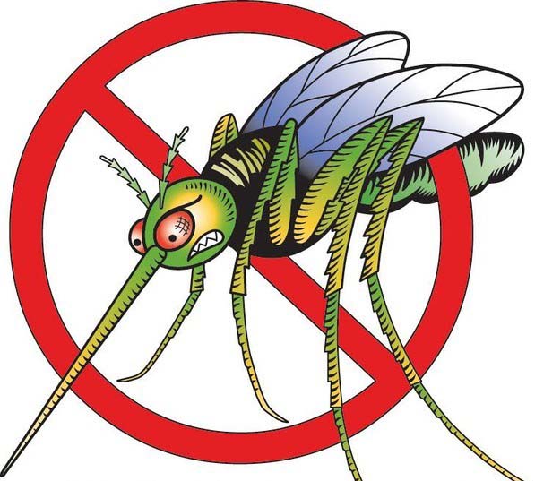 Πώς να προστατευτείτε από τα κουνούπια ενόψει καλοκαιριού - Media
