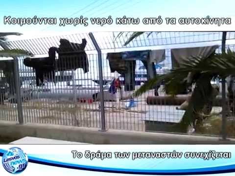 Λέσβος: Μετανάστες κοιμούνται κάτω από αυτοκίνητα (Video) - Media