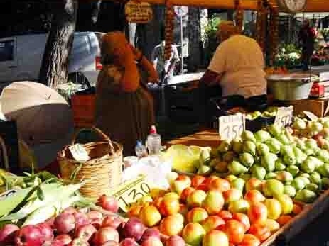 Ηλ. Πλασκοβίτης: Δεν συζητάμε αύξηση ΦΠΑ σε βασικά είδη  - Media