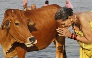 Δεν υπάρχουν πια «ιερές αγελάδες»  - Media