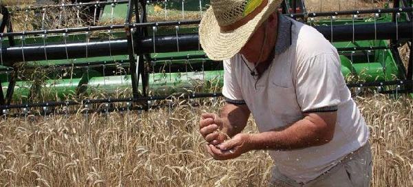 Ζητούν από αγρότη να πληρώσει 815.869 ευρώ ΕΝΦΙΑ - Media